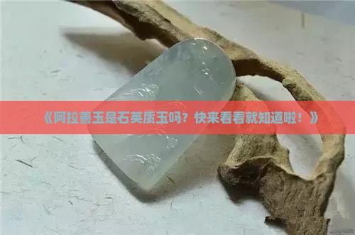 阿拉善属于石英质玉吗