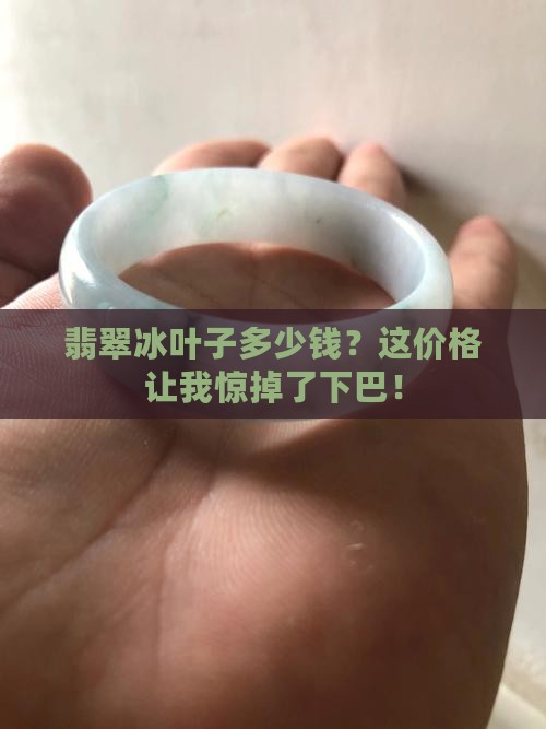 翡翠冰叶子多钱