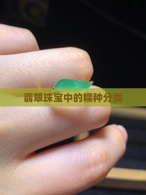 糯种翡翠分类