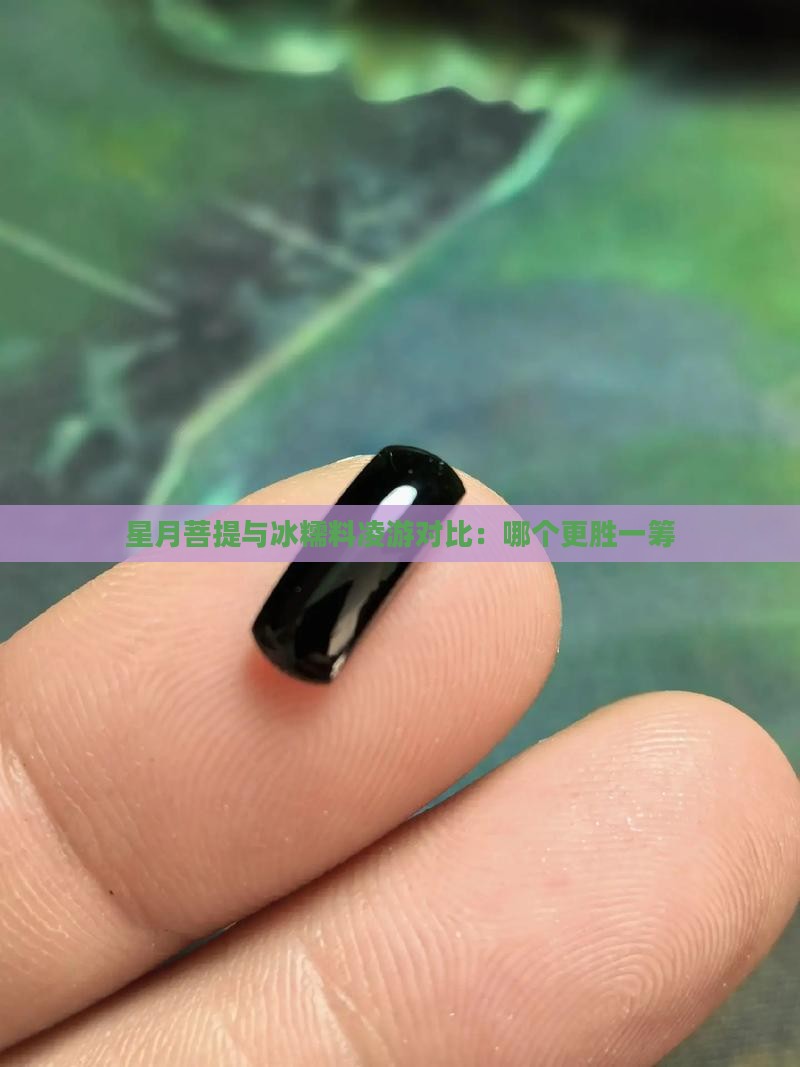 冰糯料菩提凌游和南星哪个好