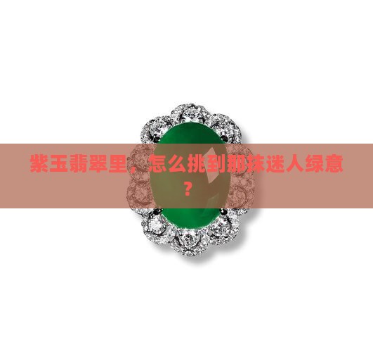 翡翠选紫飘绿的怎样