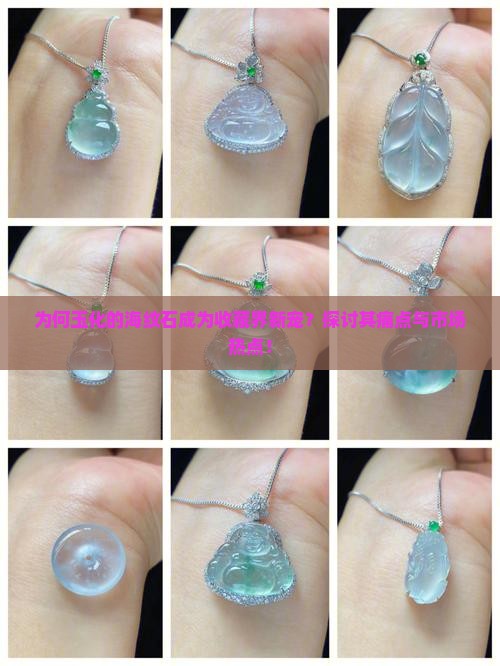 玉化的海纹石