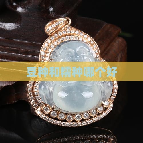 豆种和糯种哪个好