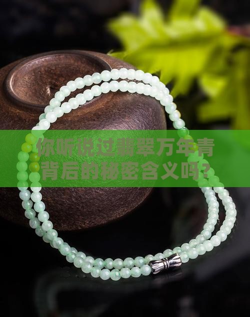 翡翠万年青的寓意