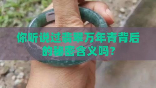 翡翠万年青的寓意