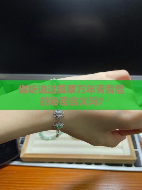 翡翠万年青的寓意