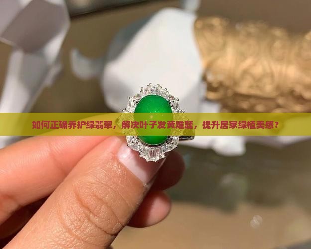 绿翡翠如何养