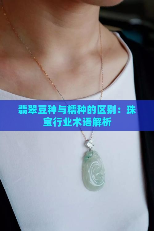 翡翠豆种跟糯种