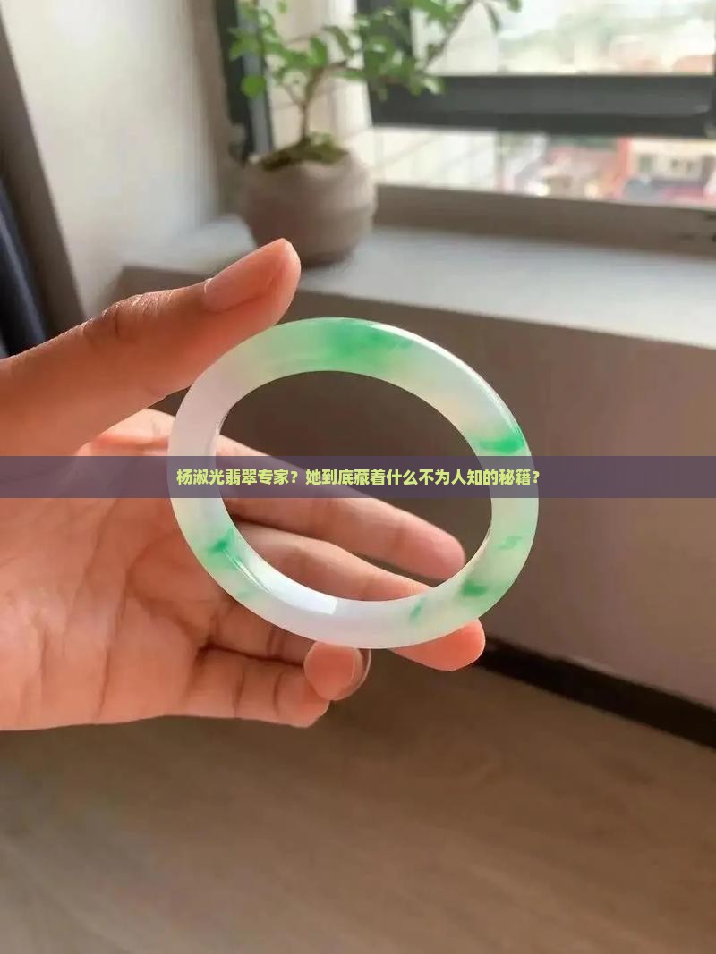 杨淑光翡翠专家