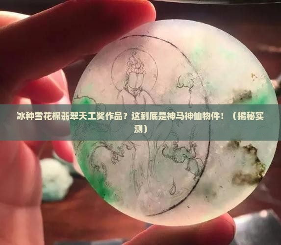 冰种雪花棉翡翠天工奖作品