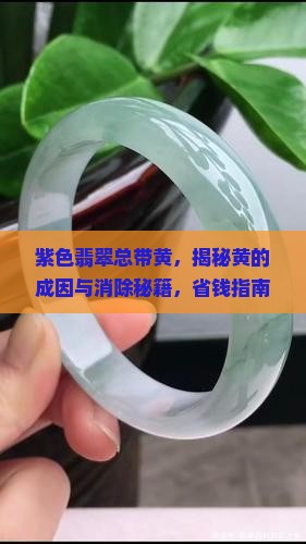 紫色翡翠总带黄