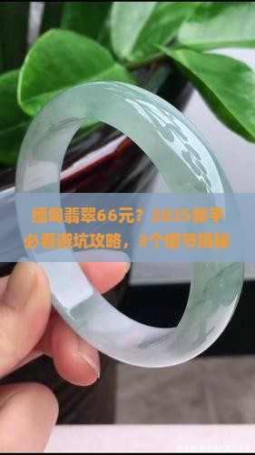 缅甸翡翠66元