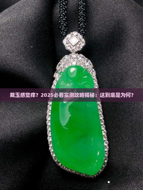 戴玉感觉痒 戴玉感觉痒