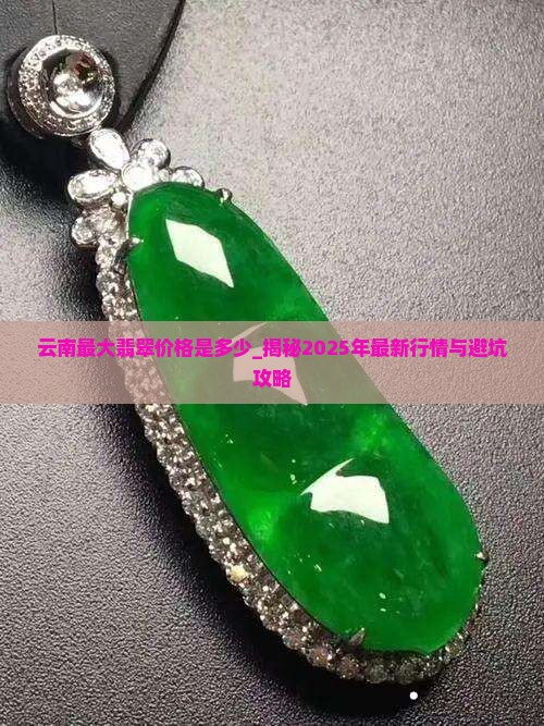 云南最大翡翠价格是多少