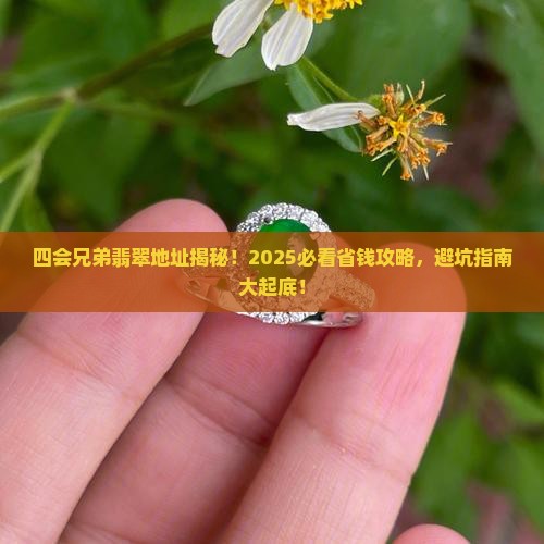 四会兄弟翡翠地址
