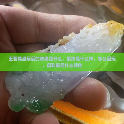 玉菩提盘玩