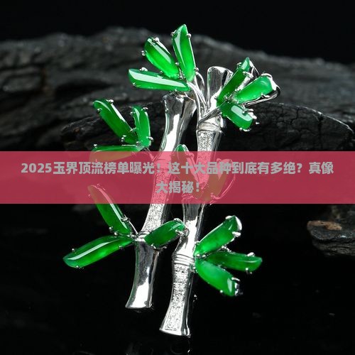 最好的玉十大品种