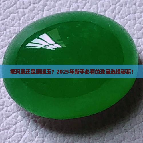 戴玛瑙和珊瑚玉哪个好