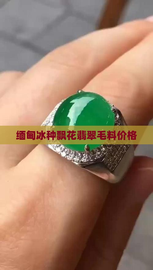 冰种飘花翡翠毛料价格