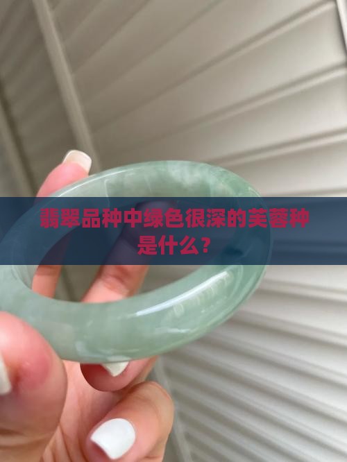 颜色很绿的翡翠是什么品种