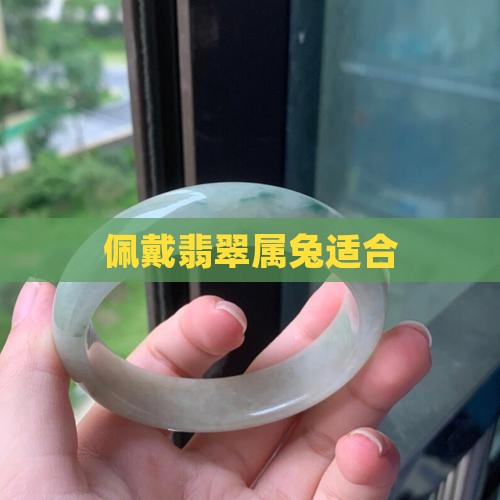 属兔子翡翠