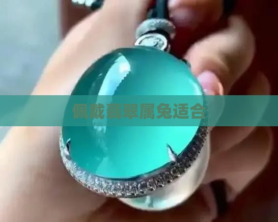 属兔子翡翠