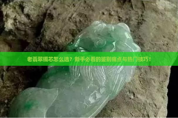 老翡翠镯芯区别
