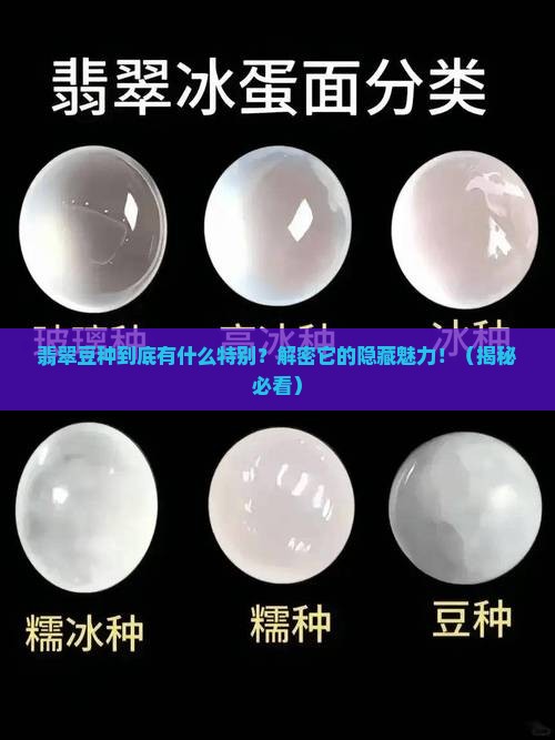 翡翠豆种的特点是什么