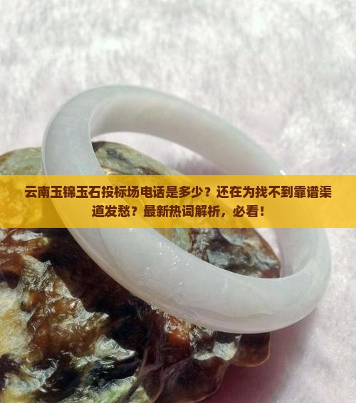云南玉锦玉石投标场电话