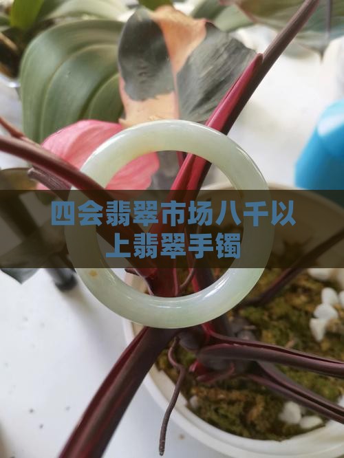 广州四会翡翠市场八千以上手镯