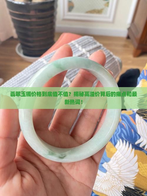 对装翡翠玉镯价格的评价