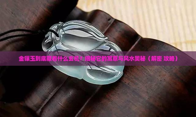 金镶玉的寓意和象征风水