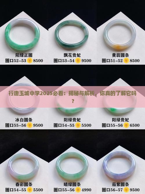 行唐玉城中学官网
