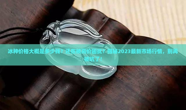 冰种价格大概是多少钱