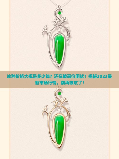冰种价格大概是多少钱