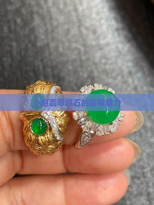 小赵翡翠原石