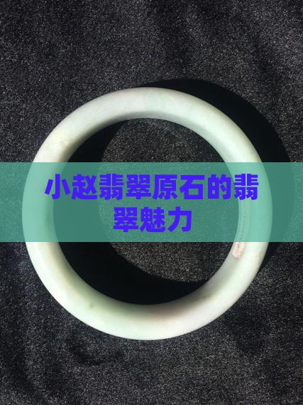 小赵翡翠原石