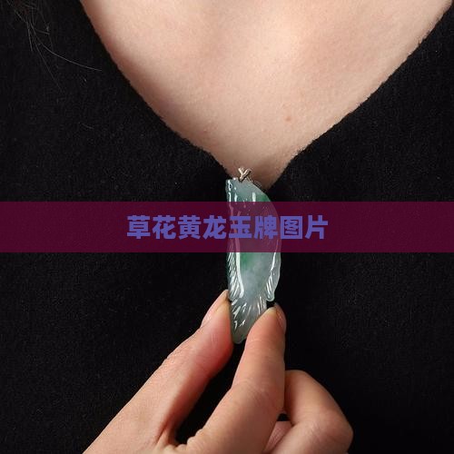 草花黄龙玉牌