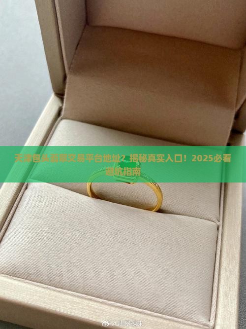 天津包头翡翠交易平台官网地址