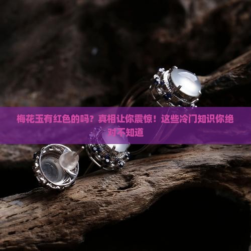 梅花玉有红色的吗