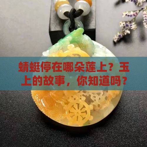 玉上的蜻蜓和莲藕
