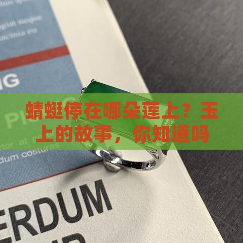 玉上的蜻蜓和莲藕