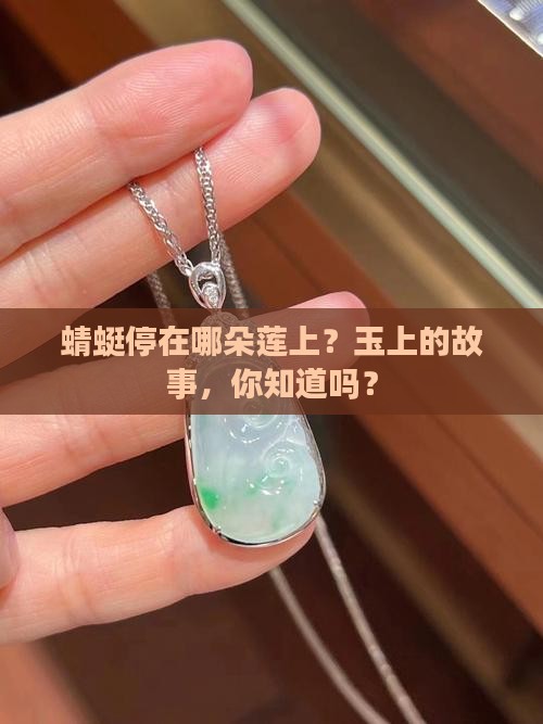 玉上的蜻蜓和莲藕