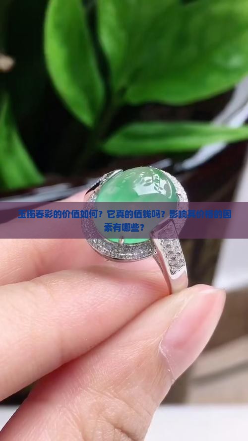 玉镯春彩值钱吗