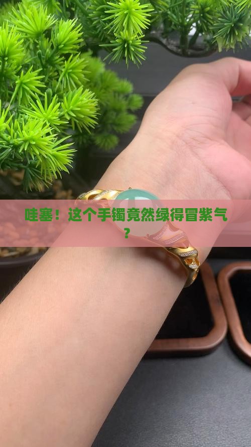 翡翠手镯有绿有紫 翡翠手镯有绿有紫
