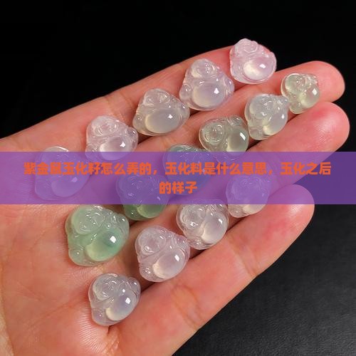 紫金鼠玉化籽