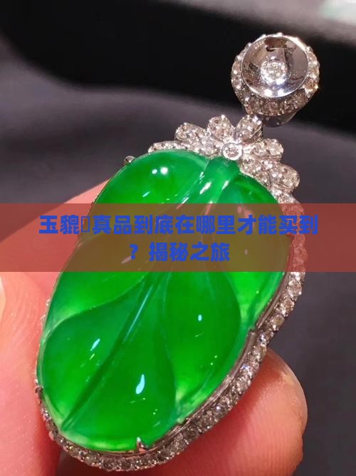 玉貔恘从哪里能买来真的