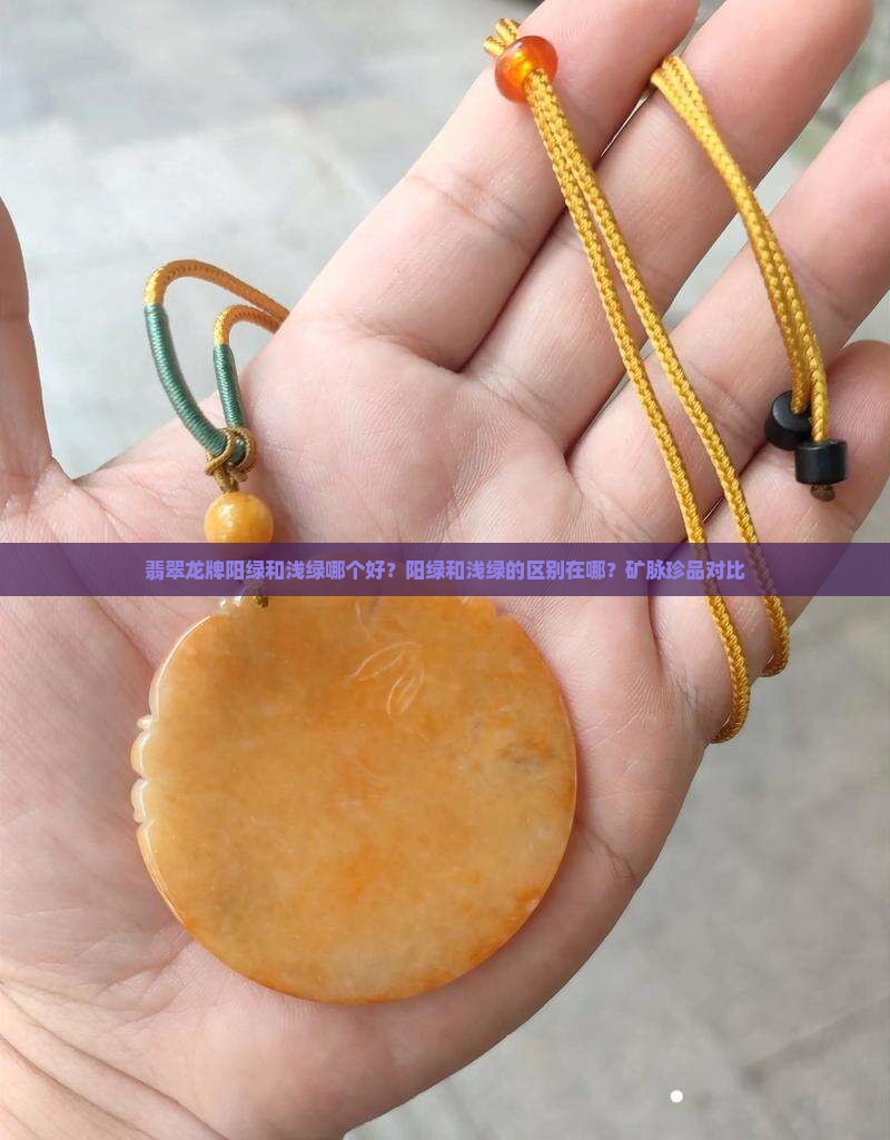 翡翠龙牌阳绿和浅绿哪个好