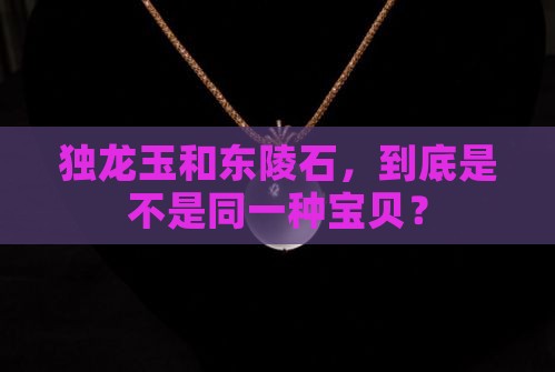 独龙玉是东陵石吗