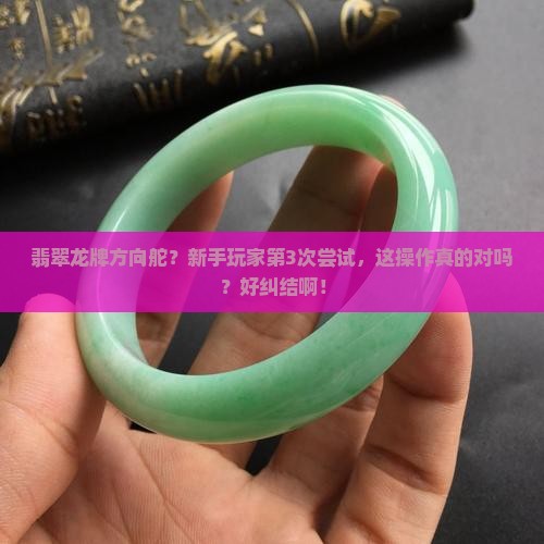 翡翠龙牌方向舵